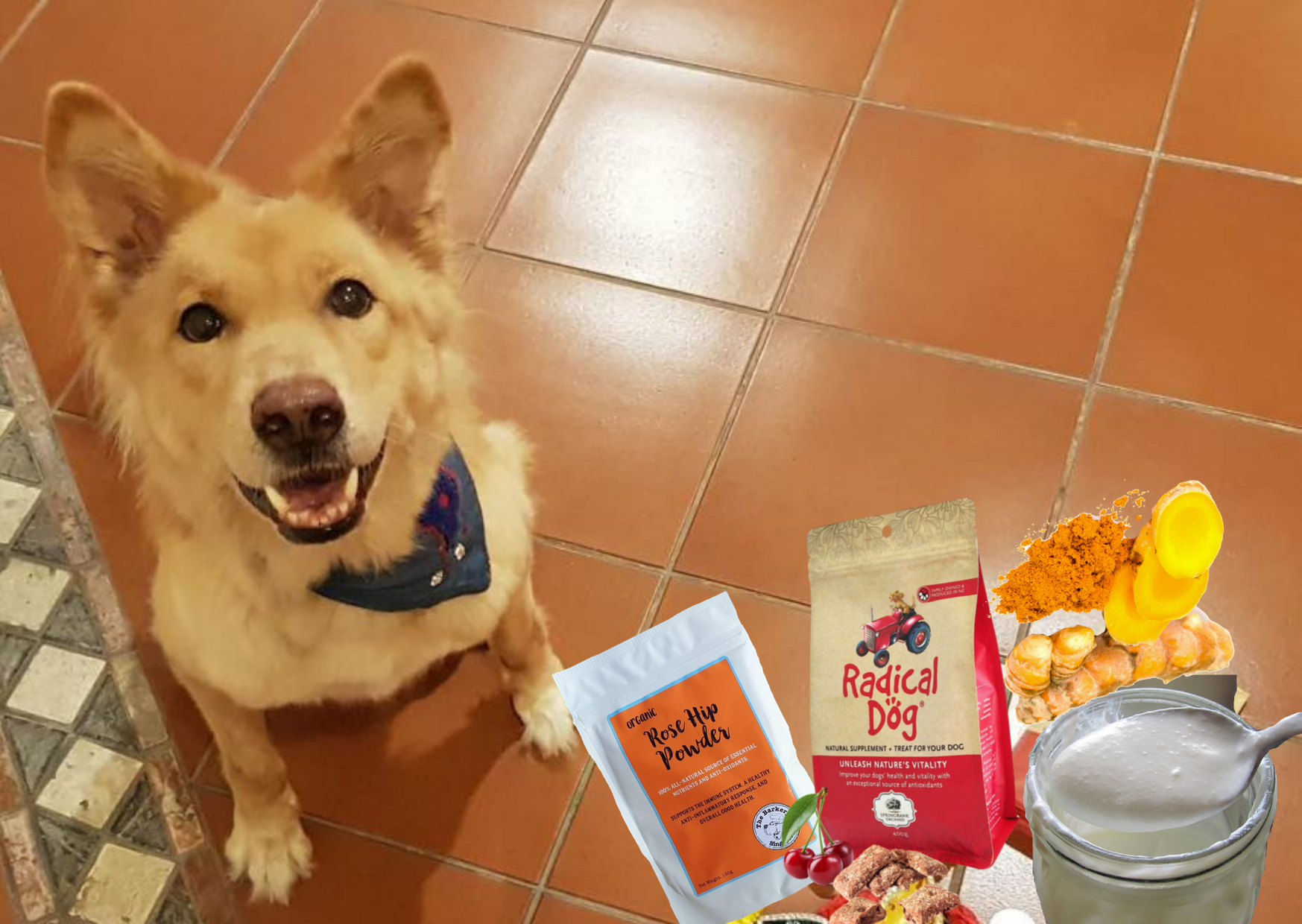 polo diet